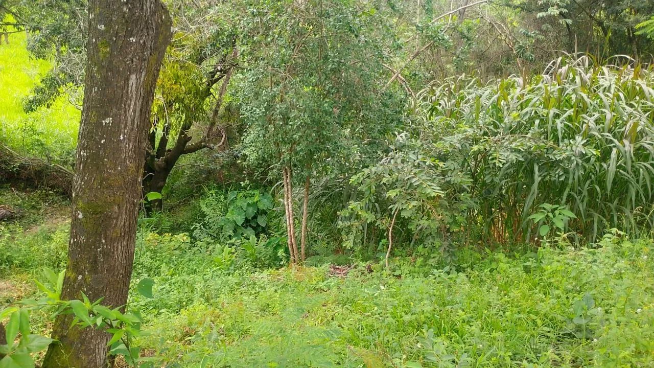 Chácara  - Foto 2