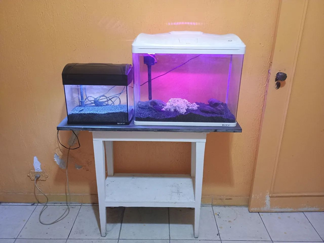 2 Aquário Boyu 1 de 66 Litros e 1 De 20 litros Aceito Troca