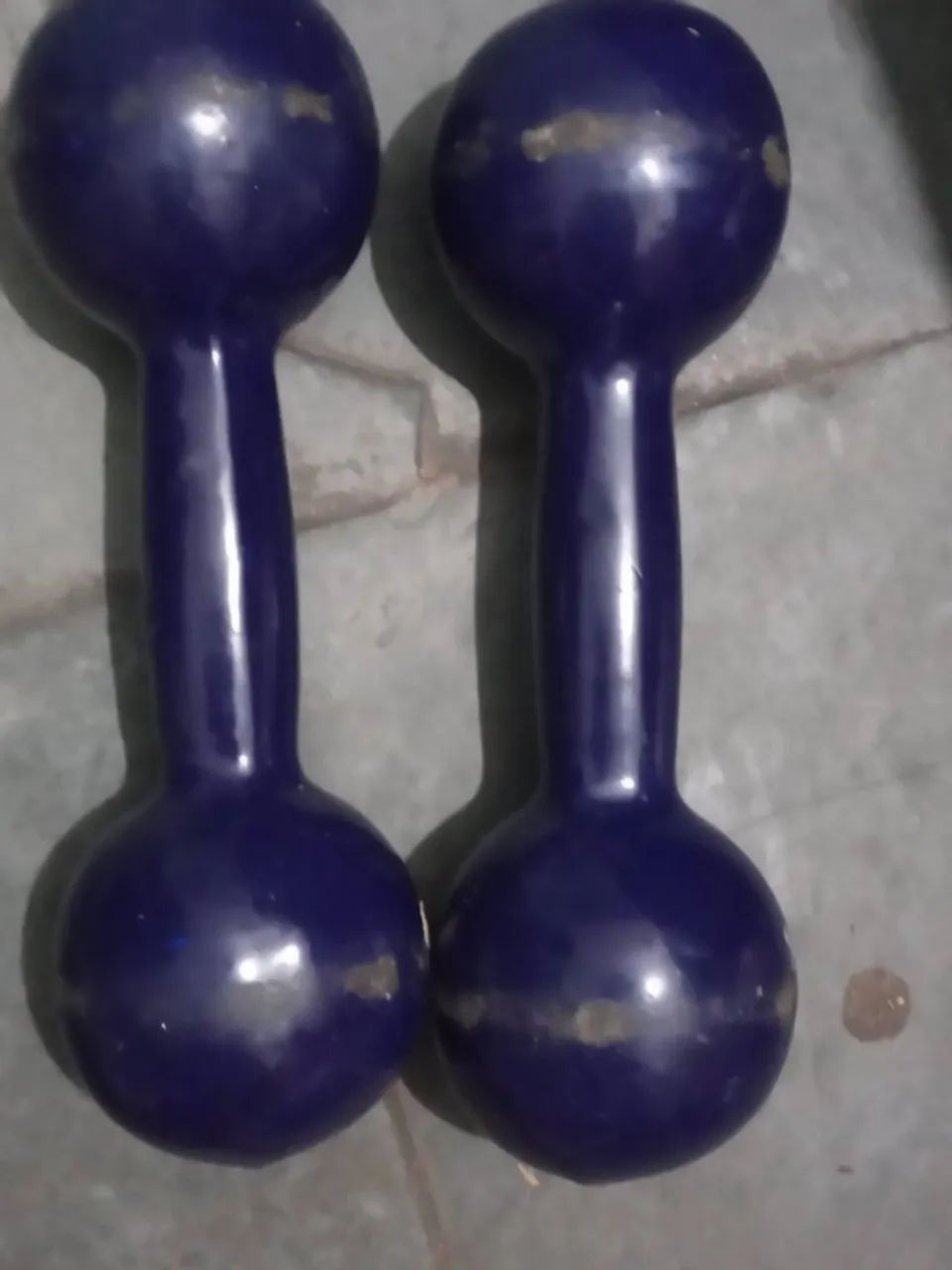Halteres 
