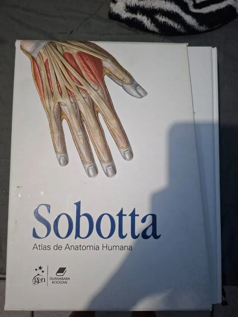Sobotta 23ª edição. - Foto 3