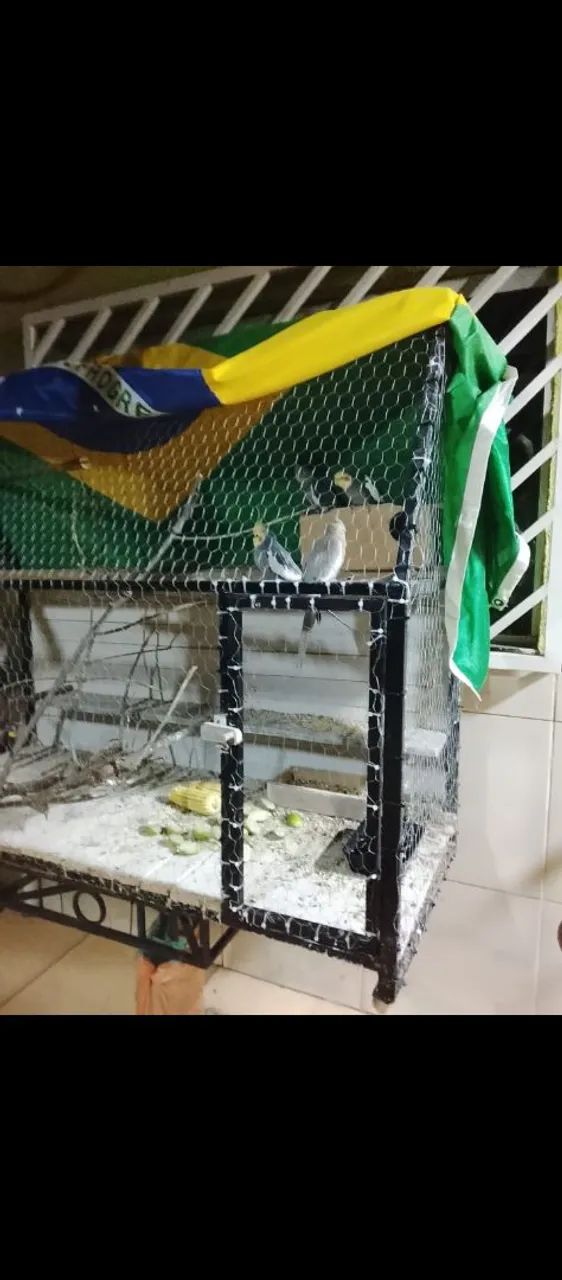 Viveiros  - Foto 4