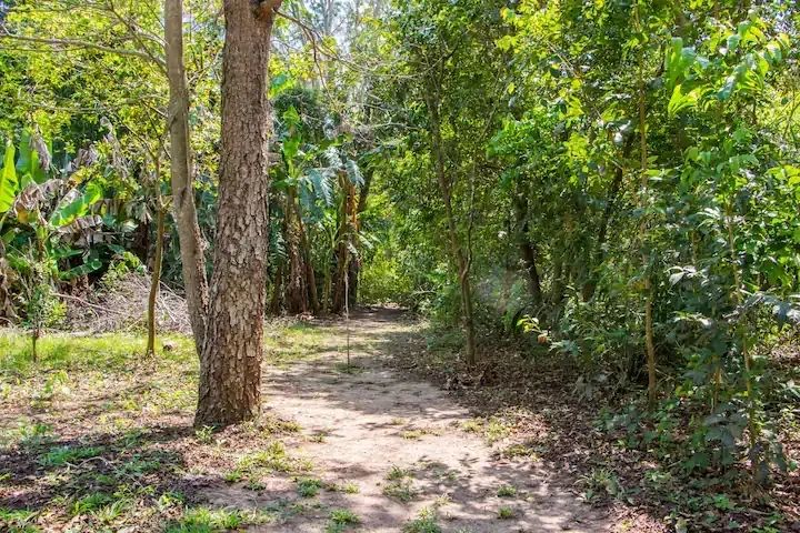 Chácara de 4 ha com bosque, trilhas e decks no Rio Formoso, em Bonito - Foto 5