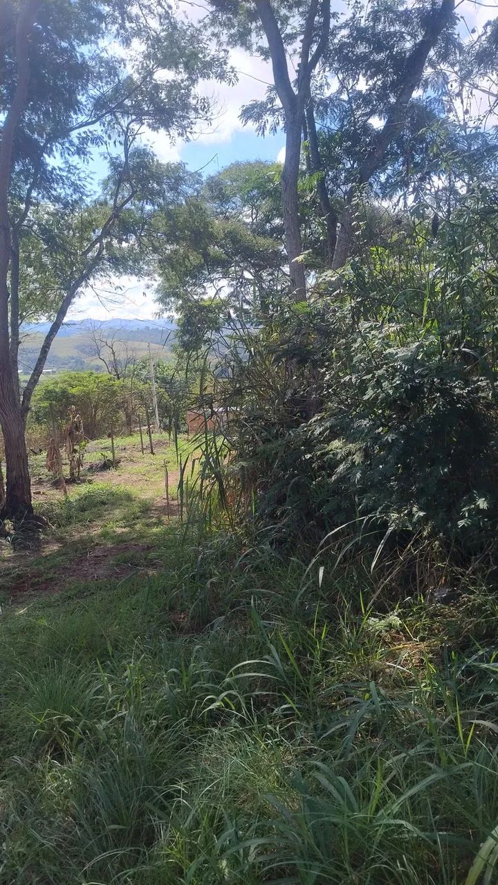 Terreno em Vargem Alegre 