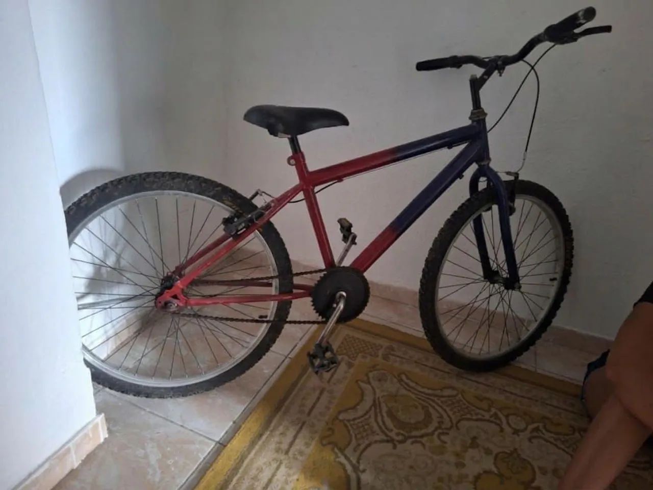 Bicicleta aro20