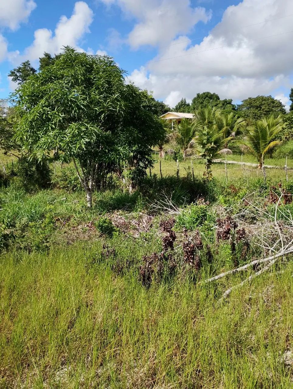 VENDO SITIO EM CATU/BA  - Foto 2