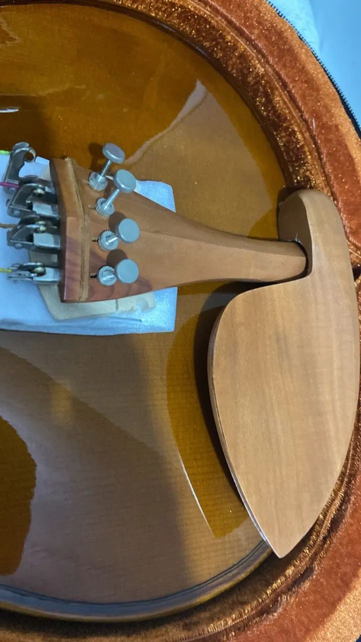Viola Eagle  - Foto 2