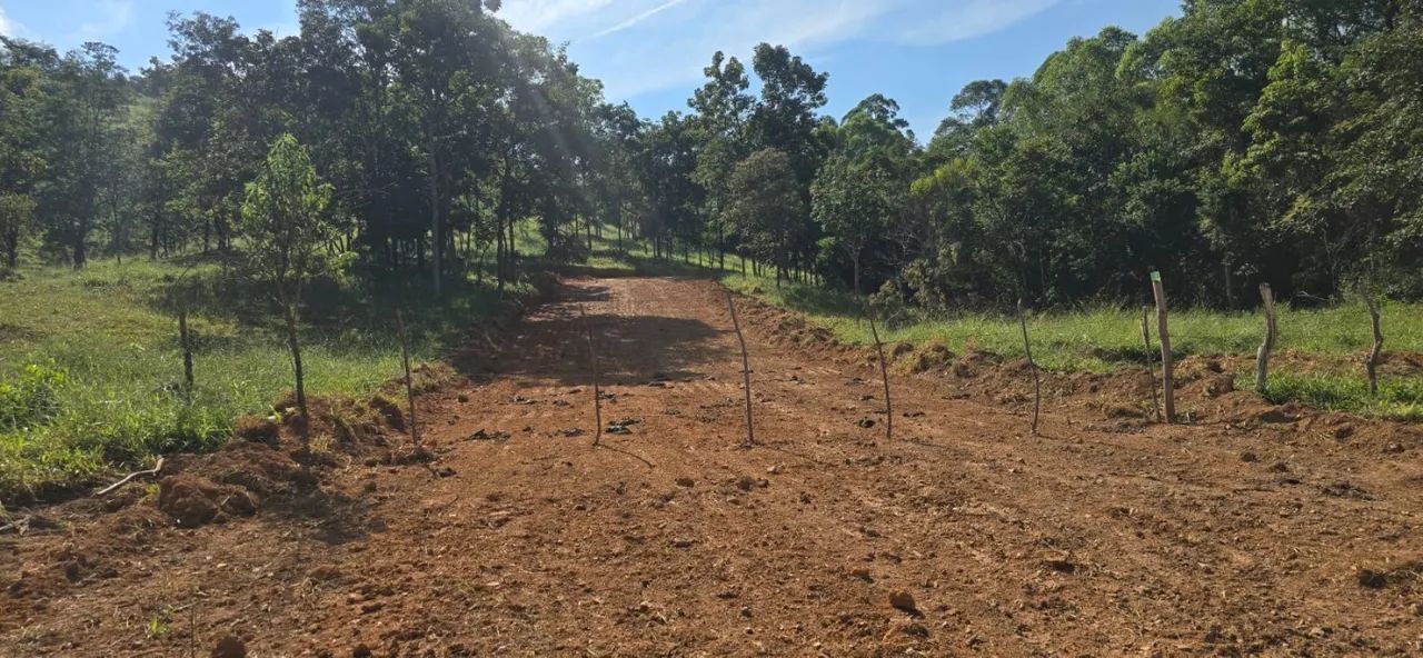 Lote para Venda em Pará de Minas, Centro - Foto 3
