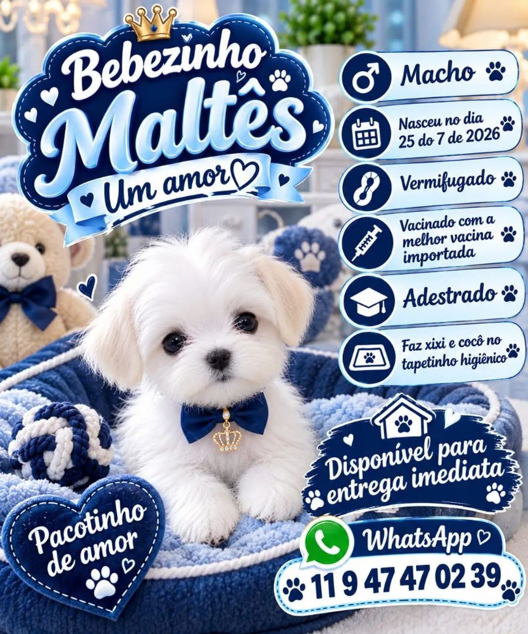 FILHOTE MALTÊS  LEGITIMO ! ! !  - Foto 2