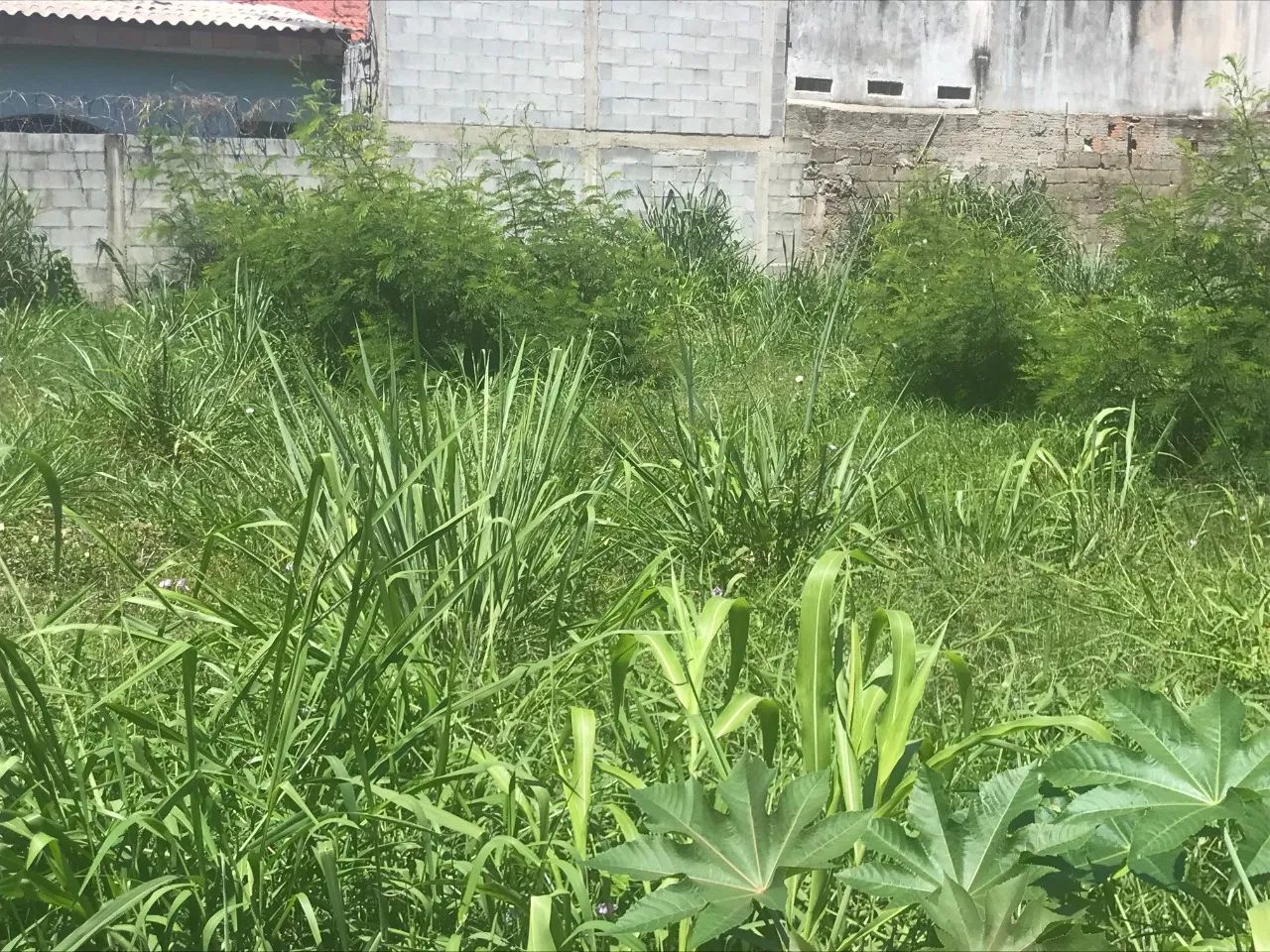 LOTE NO BAIRRO SERRANO COM 440 M² E 30 M² (FRENTE) - Foto 5