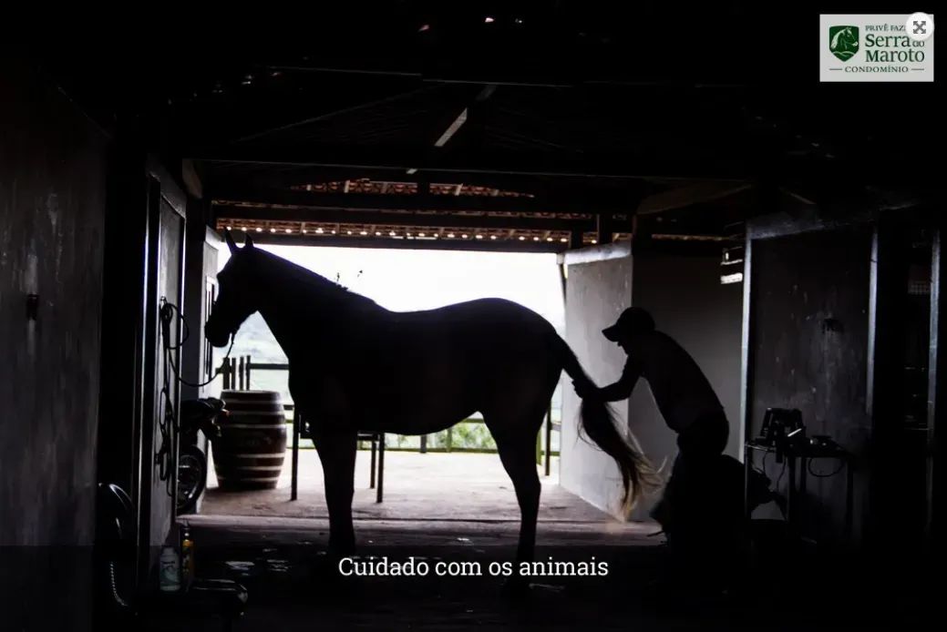 Lote/Terreno para venda tem 4000 metros quadrados em Alpes Suiços - Gravatá - Pernambuco - Foto 3