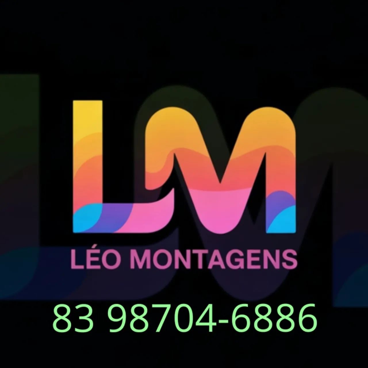 Montador de Móveis Profissional 