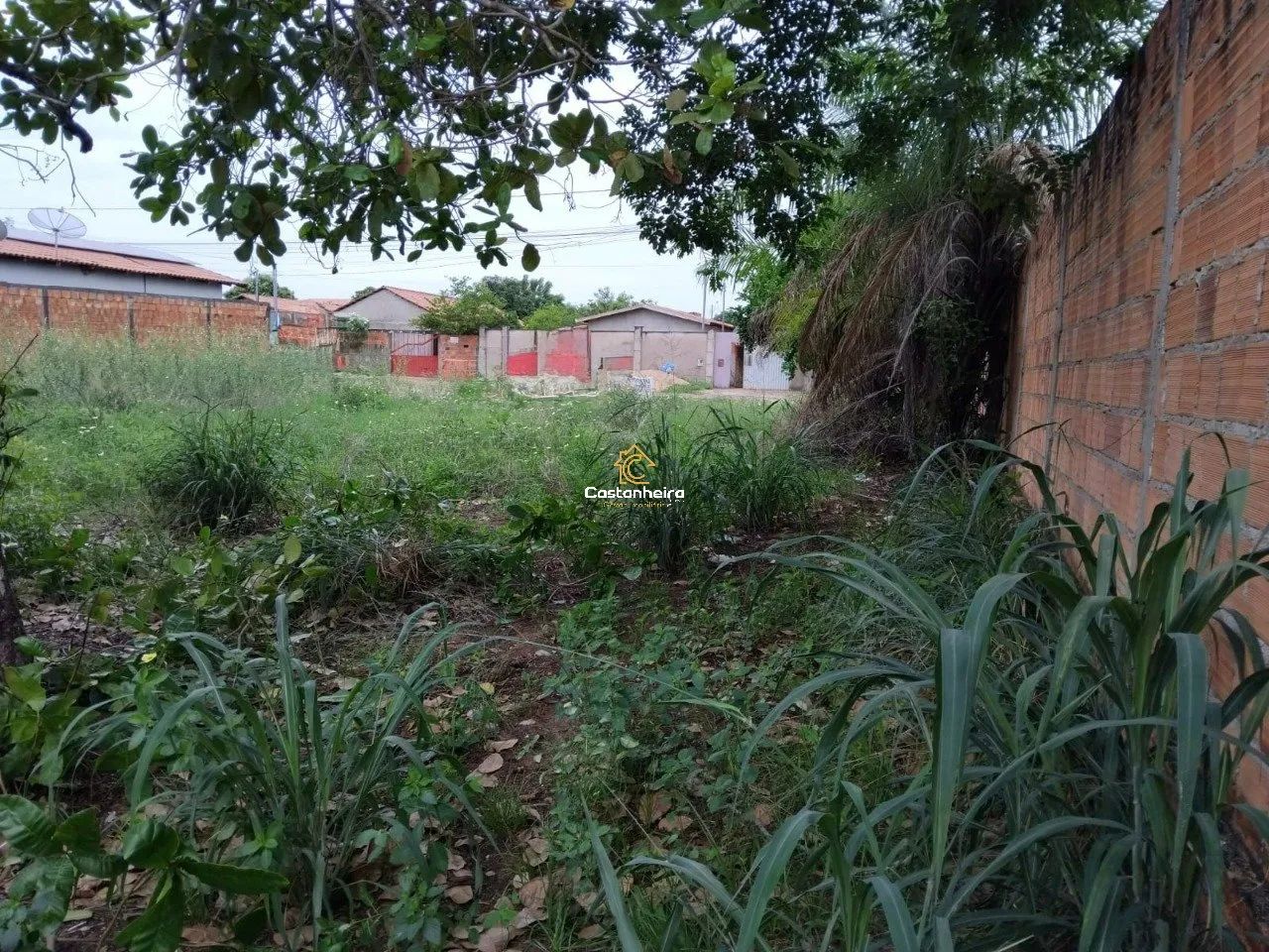 Lote Residencial 720m² - Setor SUSSUAPARA 2 - Foto 3