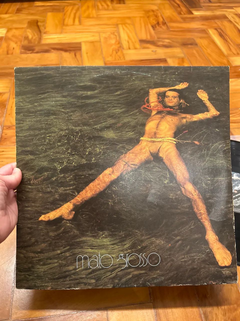 Disco de Vinil - Ney Matogrosso "Mato Grosso" (1982) - Excelente Estado 