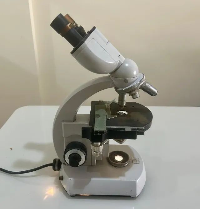 Microscópio Carl Zeiss , padrão, binóculo