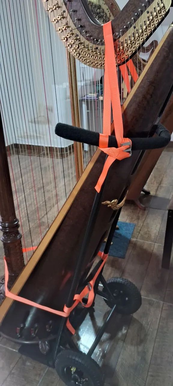 Carrinho para transportar Harpa - Foto 4