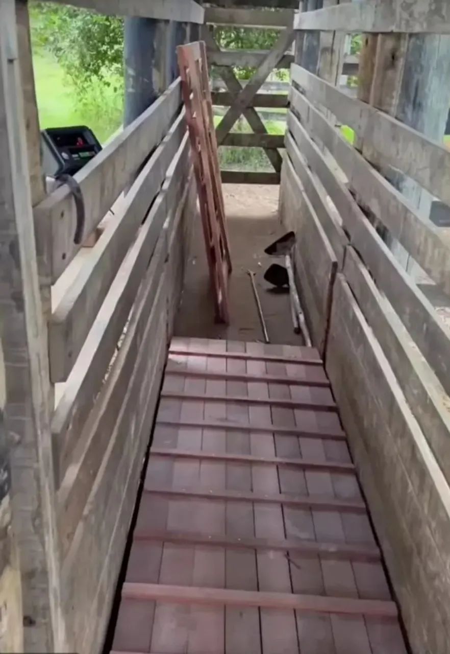 Balança plataforma barras de pesagem de gado 4t aplicativo gerenciador pesagem constant - Foto 3