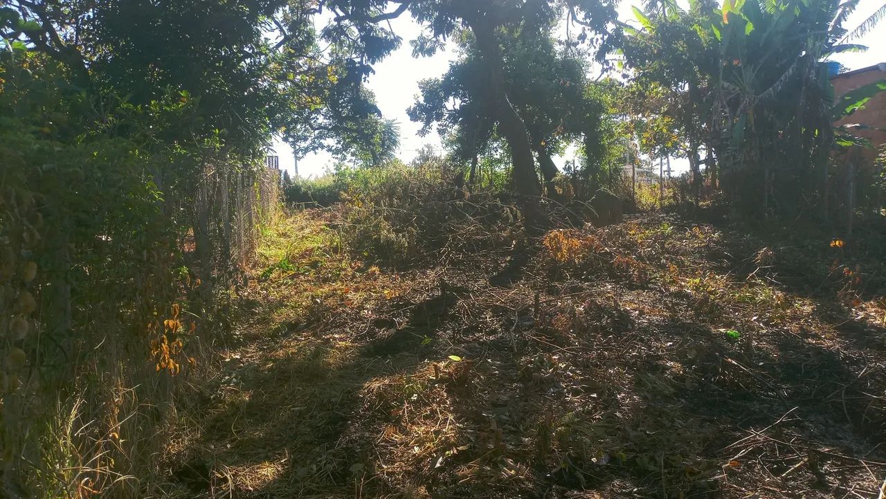 Lote em Mateus Leme 