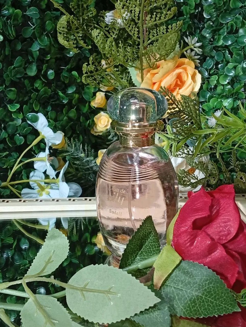 lily_Sa出品！ Lily Soleil (Loja On-line de Presentes) - Beleza e Cuidados