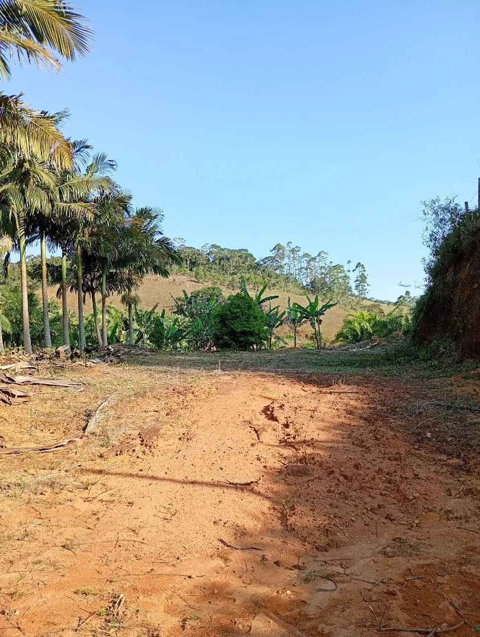Terreno interior de Alf. Chaves 