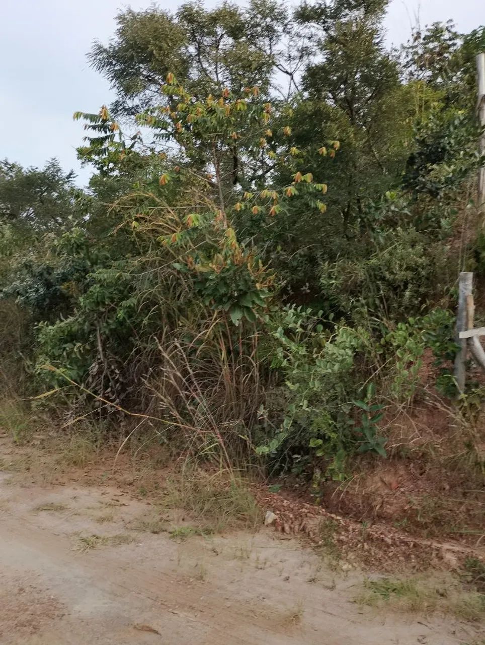 Terreno em Juatuba  - Foto 5