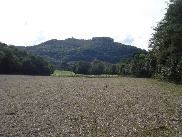 Foto - Erechim - Centro