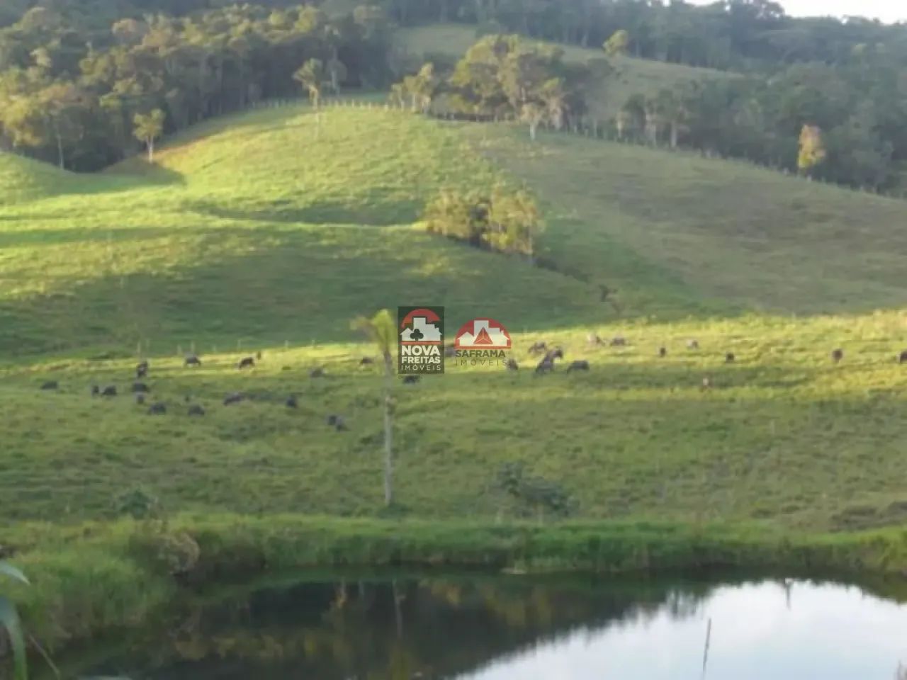 Terreno Padrão em Suzano - Foto 3