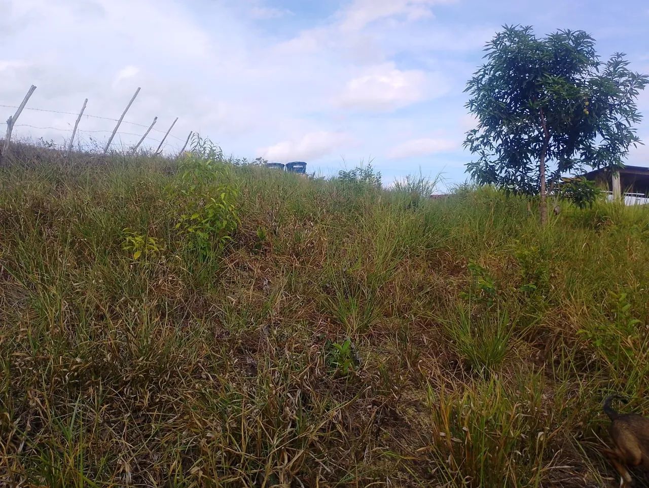 Sitio em flexeiras 6 km fora do asfalto * - Foto 4