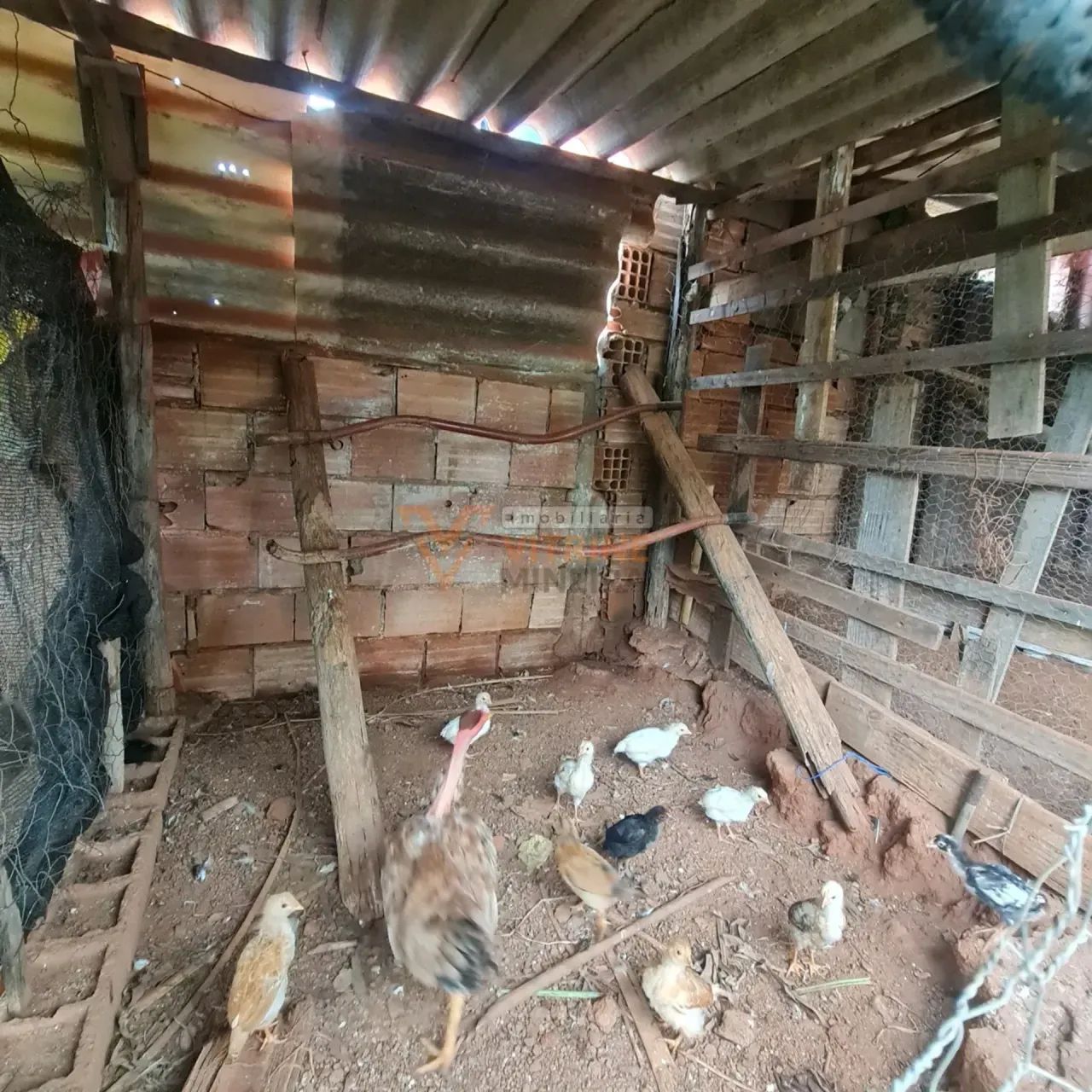 Imóvel à Venda | Sítio  Itaguara/MG - Foto 5