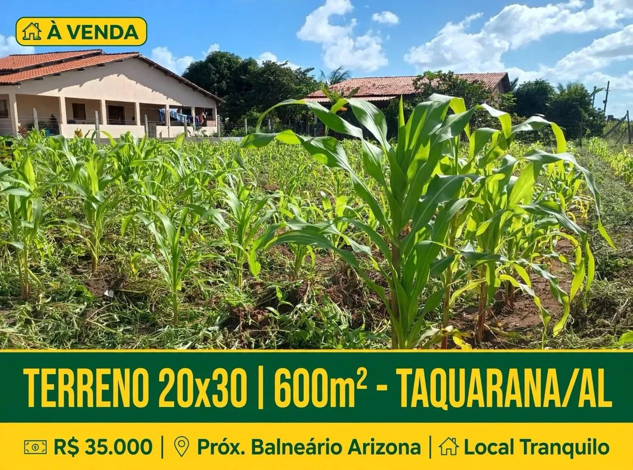 TERRENO EM TAQUARANA  - Foto 3