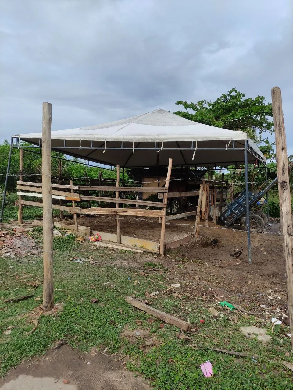 Tenda 