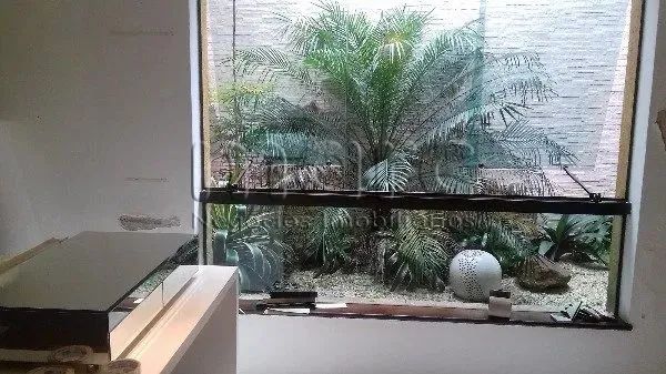 Loja na Aclimação com 200m², 4 salas de escritório, cozinha e depósito com jardim de inver - Foto 2