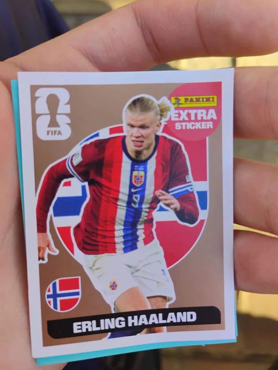 HAALAND BRONZE