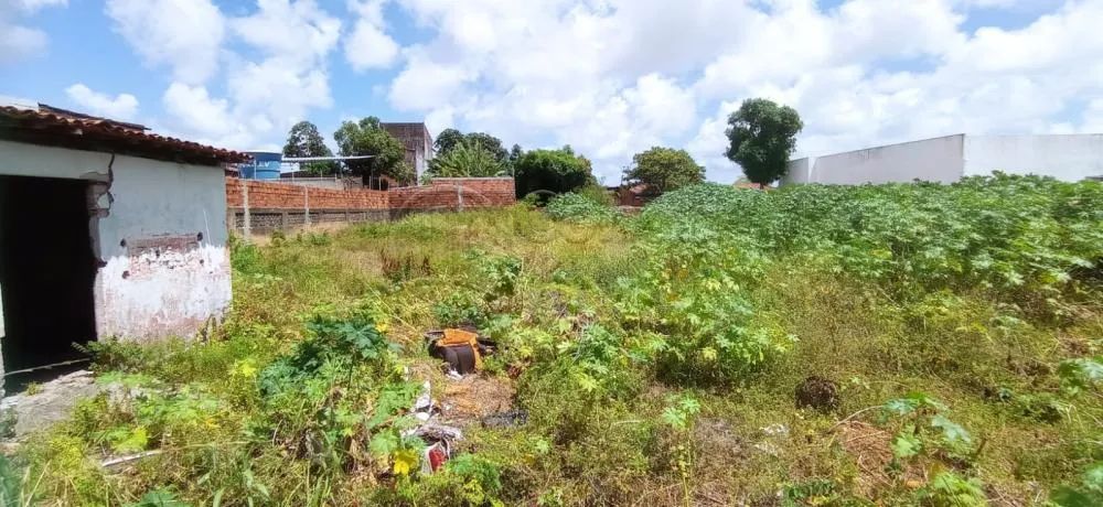 Terreno em rua pública, no Bairro América. (Vizinho a empresa Limpa fossa Moderna) - Foto 7