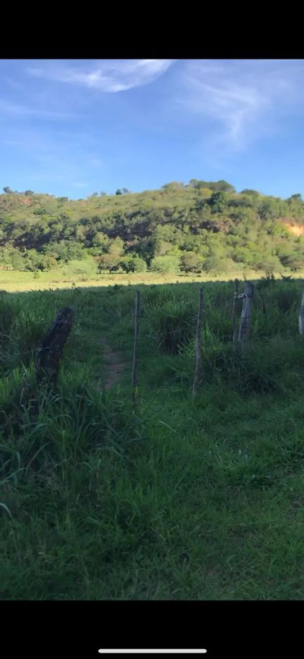 FAZENDA - Credito Rural a partir de R$50mil + Parcelas - Foto 3