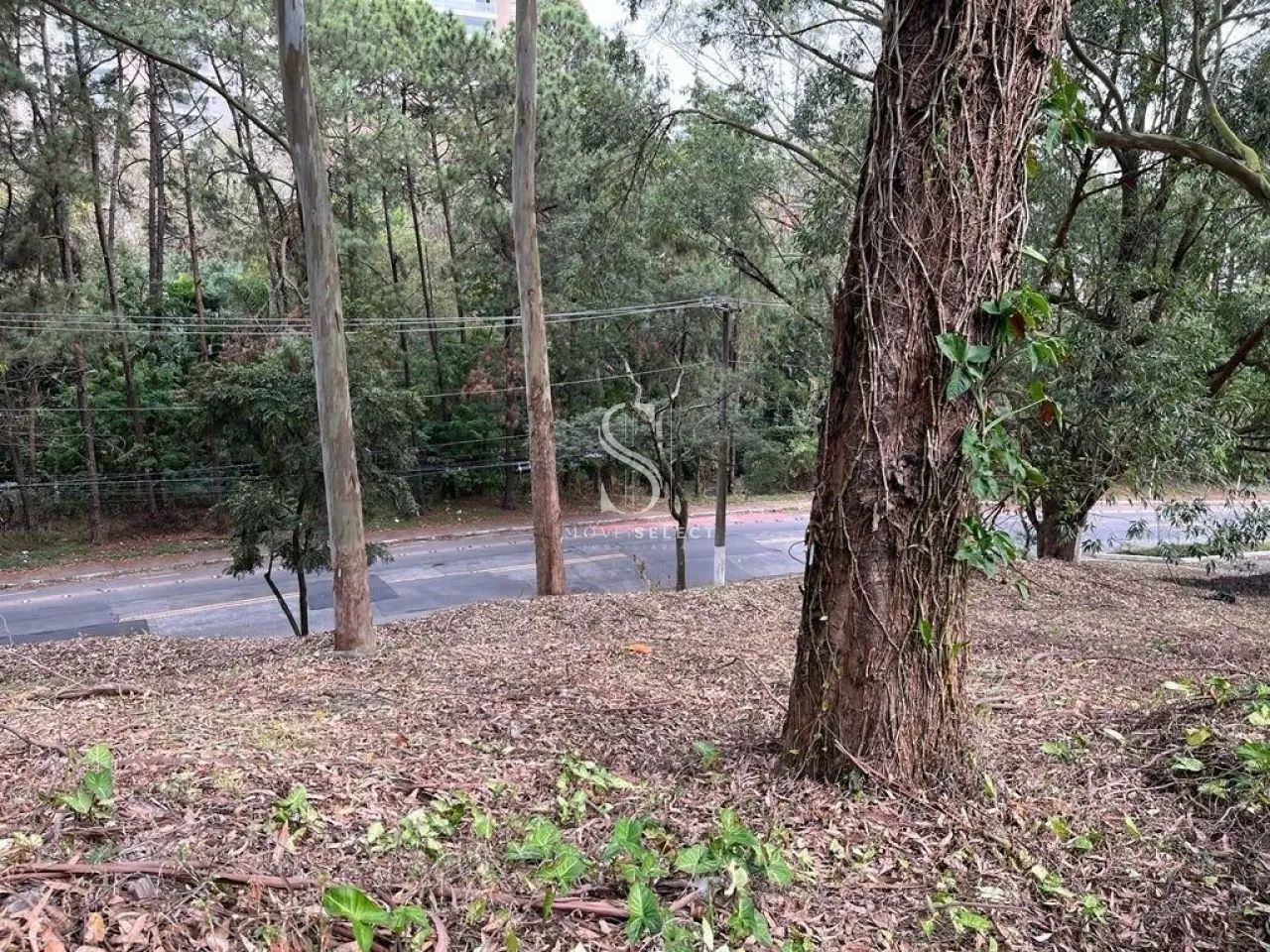 Terreno em São Paulo - Foto 3