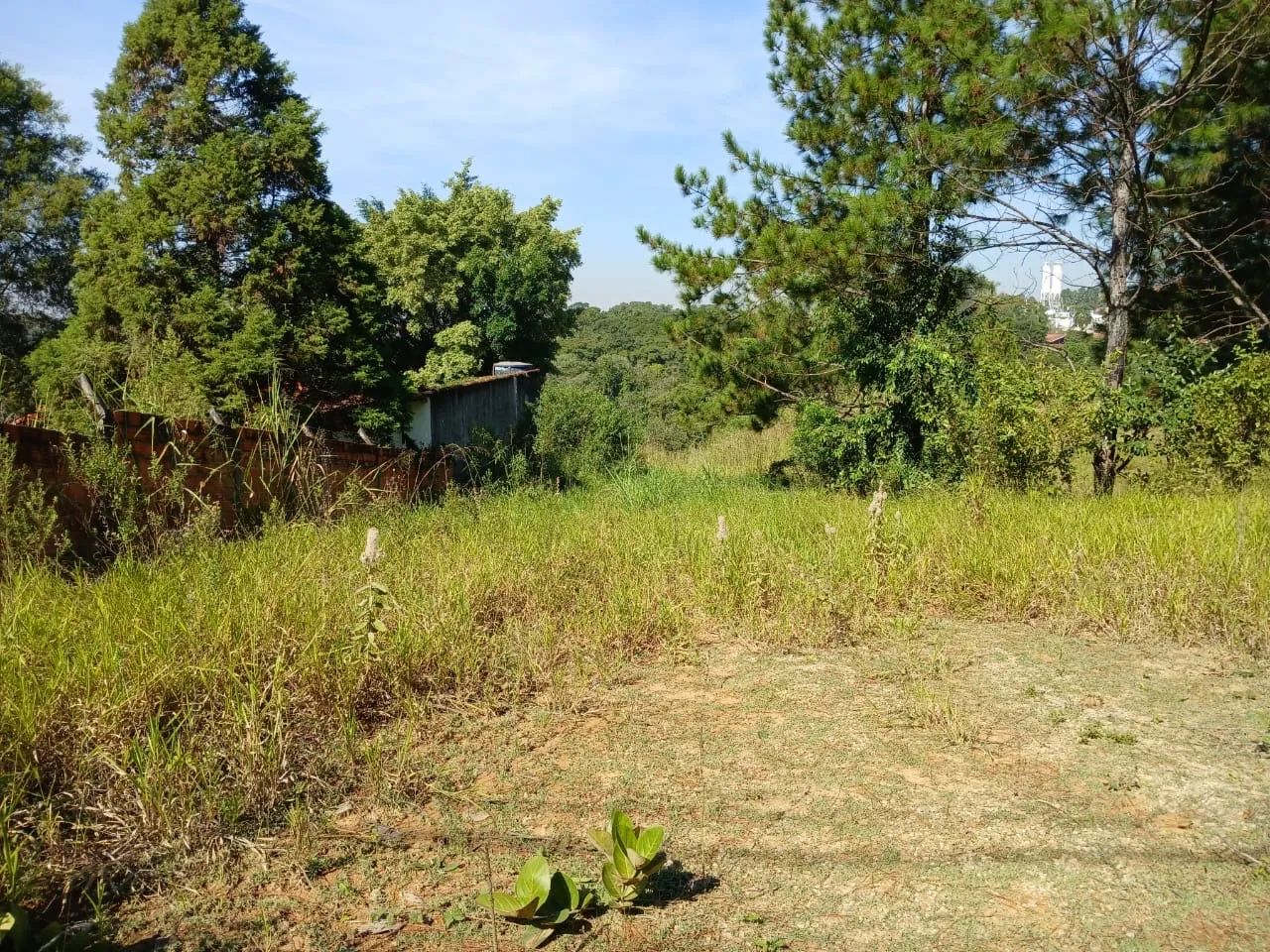 TERRENO 13.090,25m AVENIDA IPANEMA - Foto 4