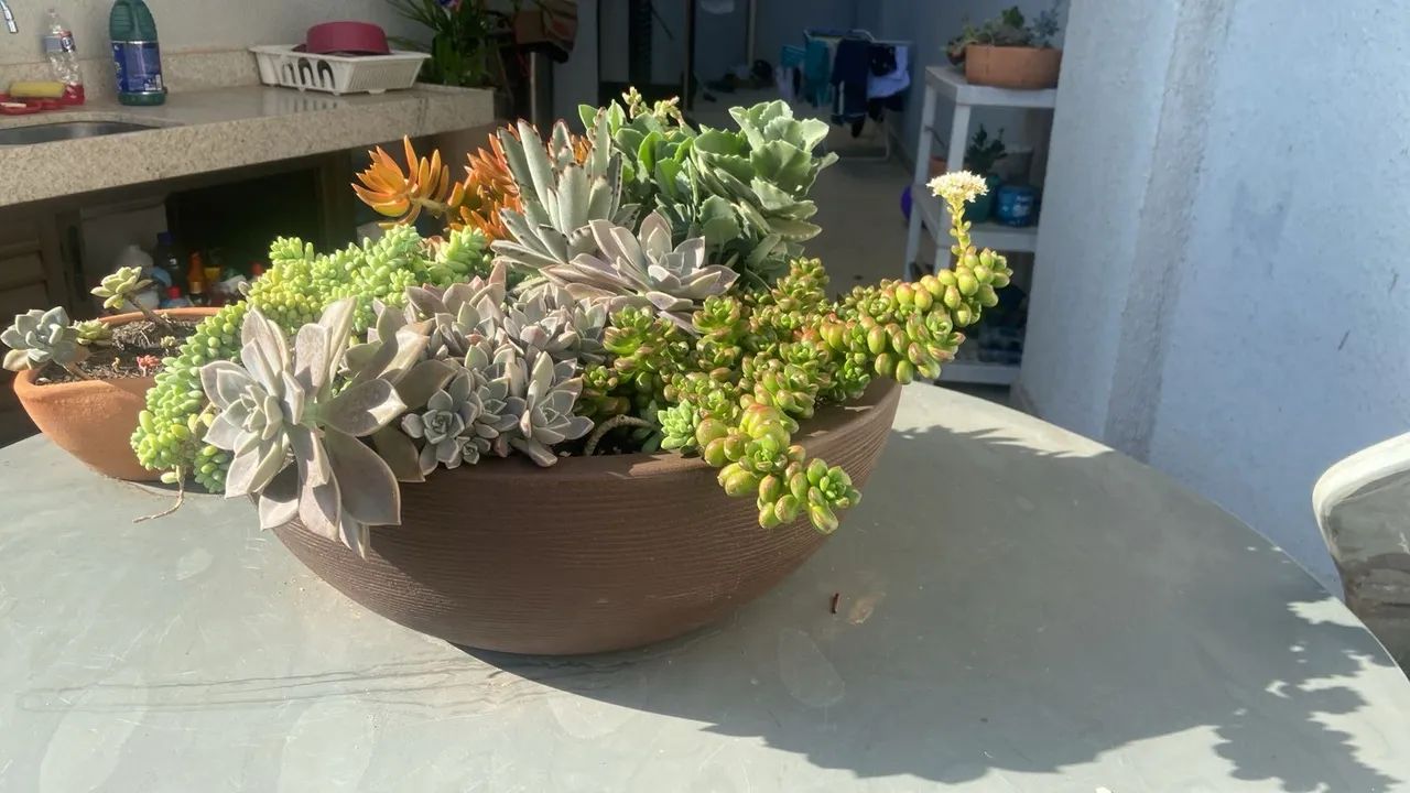 Vaso de suculenta - Foto 3