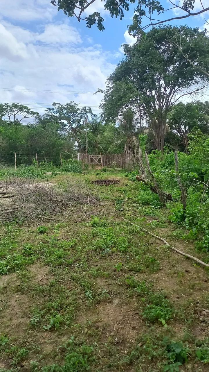 Terreno - Foto 4