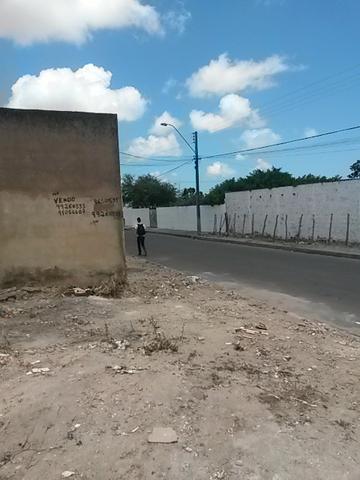 Terreno, Loteamento Acauã, rua asfaltada - Foto 5