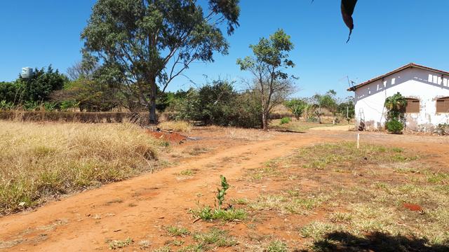 Excelente Chácara 10.000m2 - Rua 00 - Lago Oeste - Foto 6