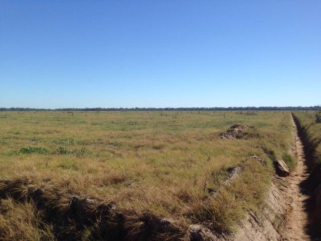Fazenda 50.000 há (Porteira Fechada) - Foto 8