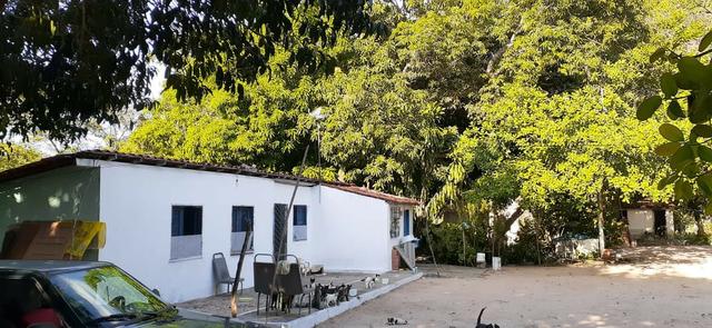 Belo Sítio em São José de Ribamar próximo ao Camino - Foto 4