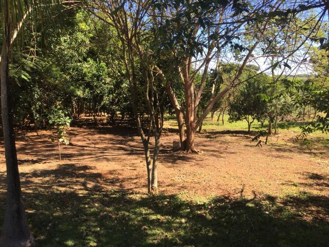 Chácara em Trindade- GO, aproximadamente 5.600M² - Foto 7