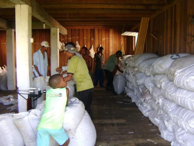 Vende fazenda de Cacau com 278 Ha - Camamu - BA - Foto 5