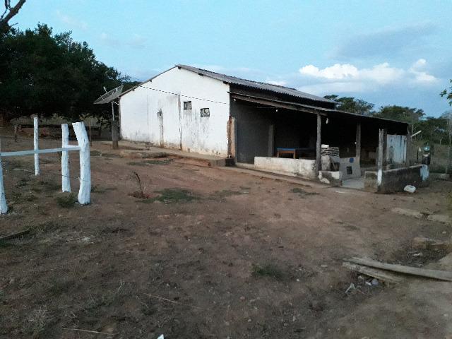 Fazenda à venda, por R$ 900.000.00 - Zona Rural - Luziânia/GO - Foto 19