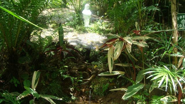 Sitio marechal floriano 2 hequitares - Foto 12
