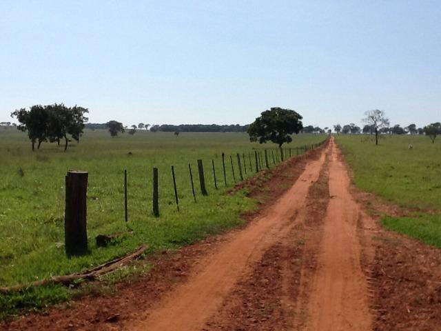 Fazenda em Campo Grande 4mil hectares!! - Foto 6