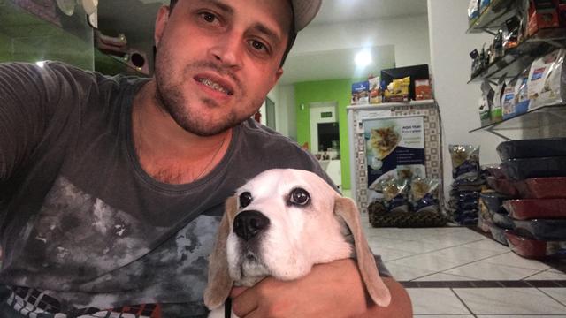 Hospedagem para cães