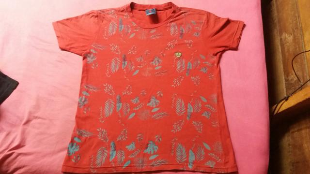 Camisa