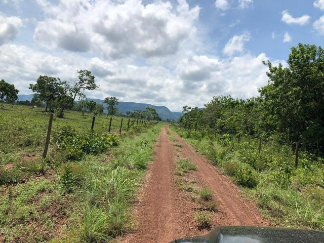 Fazenda 1.163 hectares em Livramento MT - Foto 16
